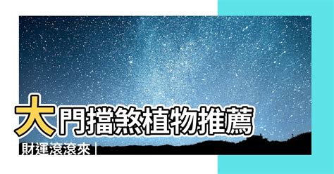 大門門口擋煞植物|大門擋煞植物指南：化煞聚財，提升居家運勢 